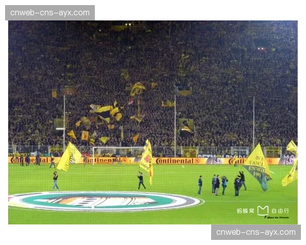 多特蒙德西格纳尔·伊杜纳公园球场千场纪念，设施翻新计划公布