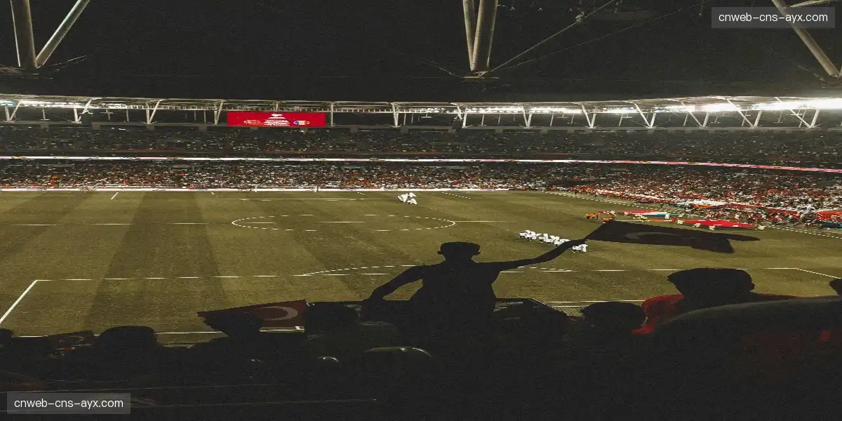 🏟️ 沉浸式直播体验，每一秒都值得珍藏！💎